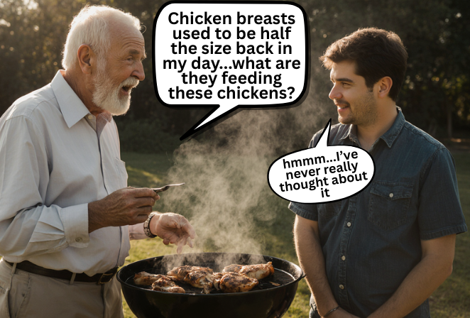 Chicken-breasts-used-to-be-half-the-size-back-in-my-day.what-are-they-feeding-these-chickens.webp