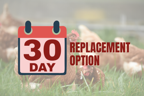30DAY.webp