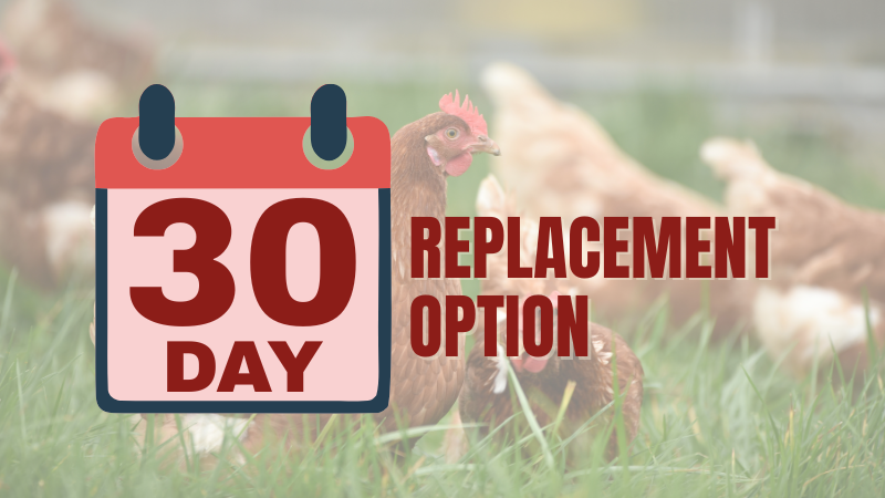 30 day replacement