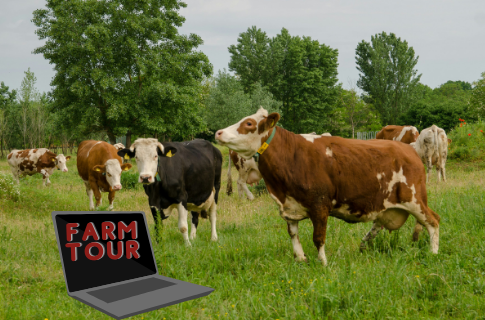 farm tour